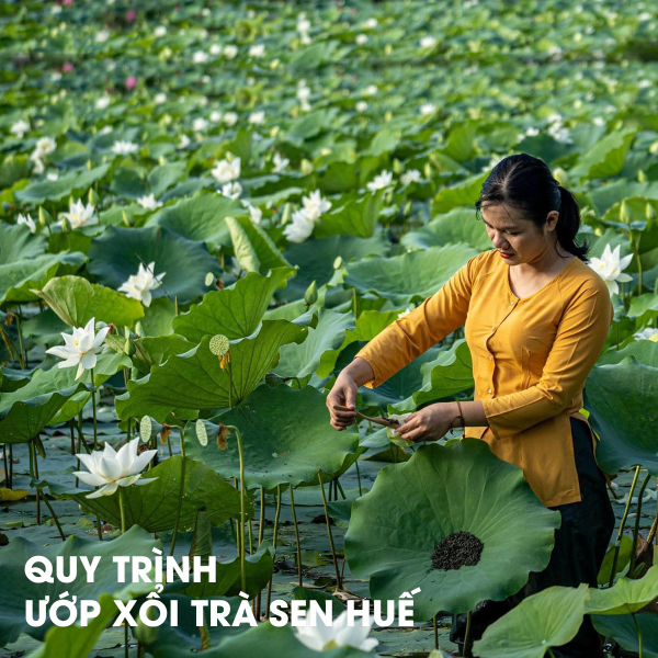 Hộp Trà Quà Tặng Sen